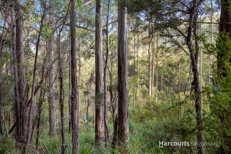 Photo - Lot 2 105 Gumpits Road, Birchs Bay TAS 7162 - Image 17