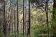 Photo - Lot 2 105 Gumpits Road, Birchs Bay TAS 7162 - Image 17