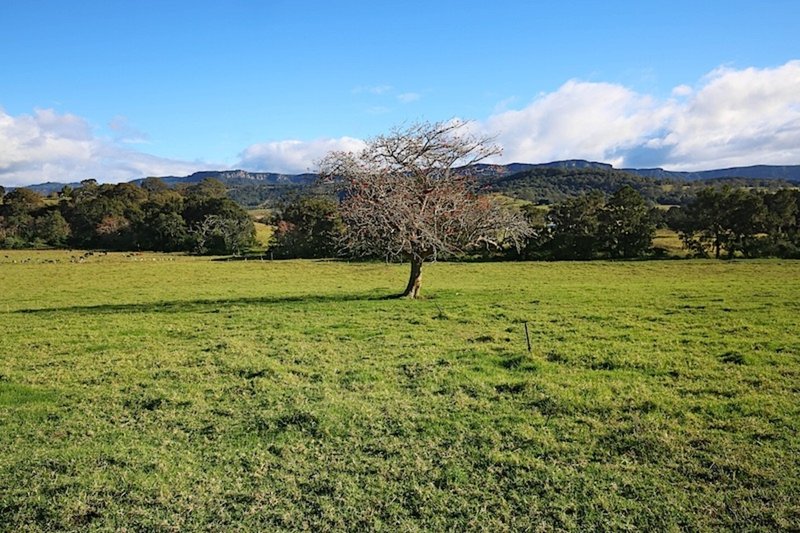 Lot 2, 120 Yellow Rock Road, Tullimbar NSW 2527 Real Estate Industry