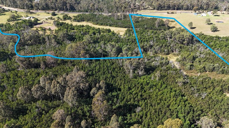 Photo - Lot 2 202 Dunns Creek Road, Woodlands NSW 2536 - Image 4