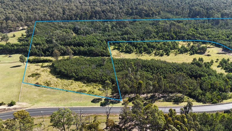 Photo - Lot 2 202 Dunns Creek Road, Woodlands NSW 2536 - Image 5