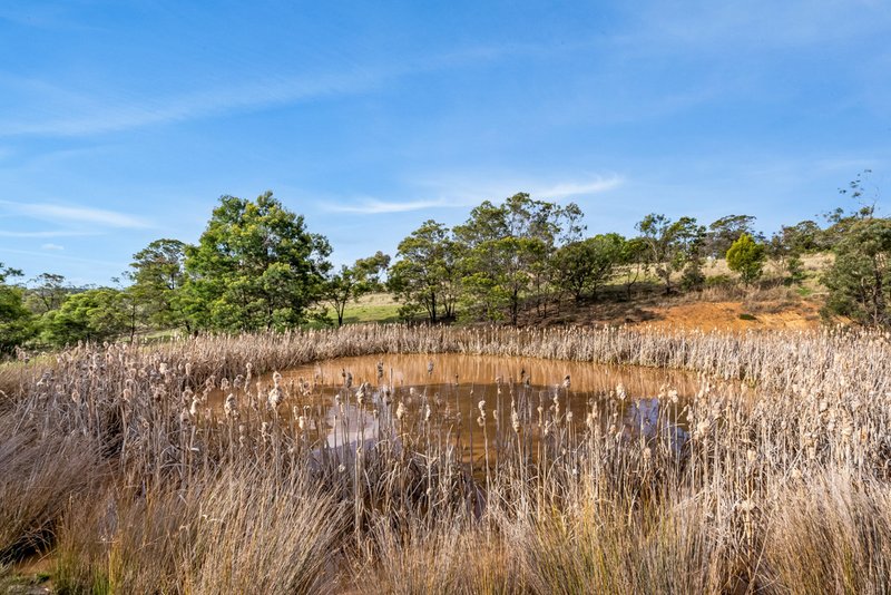 Photo - Lot 2 221 Baskerville Road, Old Beach TAS 7017 - Image 13