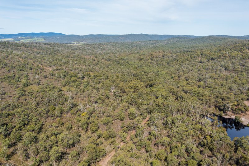 Photo - Lot 2 281 Gwandalan Road, Sloping Main TAS 7186 - Image 11