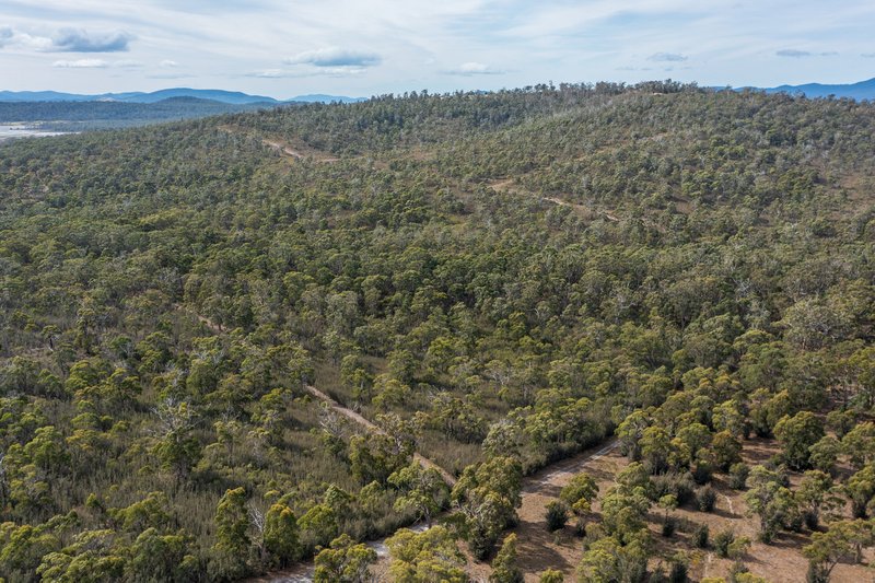 Photo - Lot 2 281 Gwandalan Road, Sloping Main TAS 7186 - Image 15