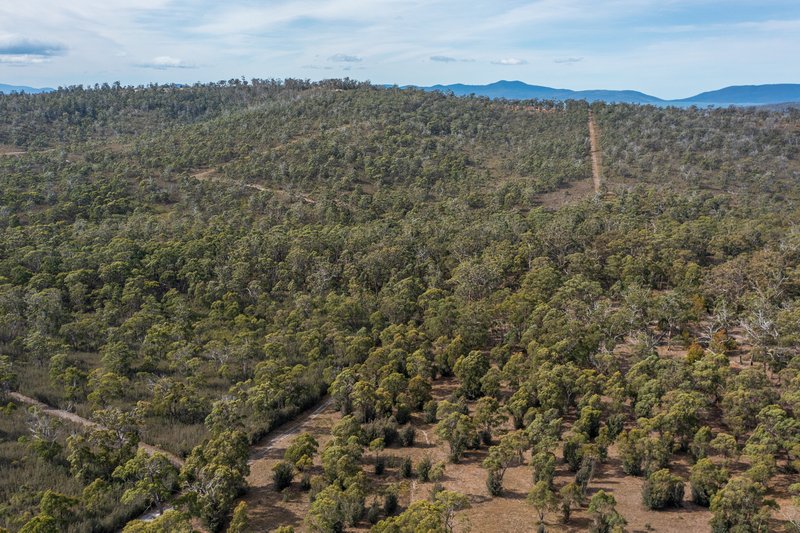 Photo - Lot 2 281 Gwandalan Road, Sloping Main TAS 7186 - Image 16