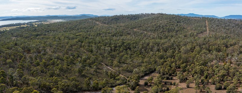 Photo - Lot 2 281 Gwandalan Road, Sloping Main TAS 7186 - Image 17