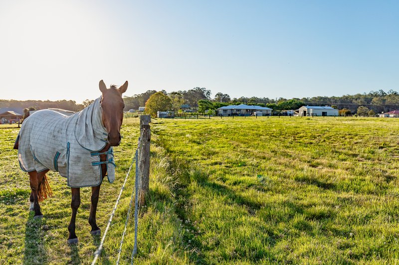 Photo - Lot 2 & 3 211 Fotheringay Road, Clarence Town NSW 2321 - Image 6