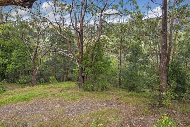 Photo - Lot 2 308 Petsch Creek Road, Tallebudgera Valley QLD 4228 - Image 15