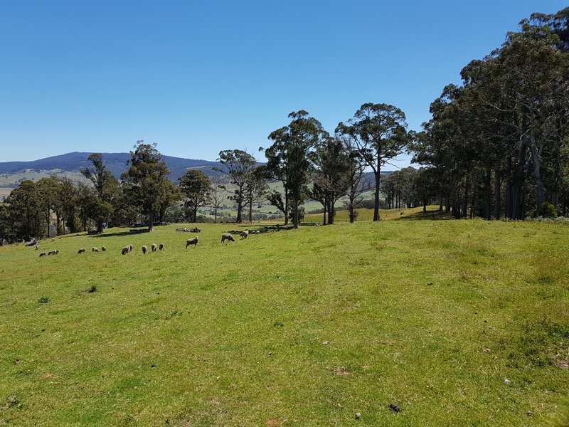 Photo - Lot 2, 313 Rhyndaston Road, Rhyndaston TAS 7120 - Image 10