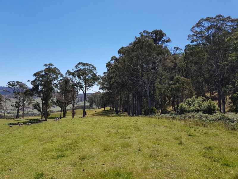 Photo - Lot 2, 313 Rhyndaston Road, Rhyndaston TAS 7120 - Image 11