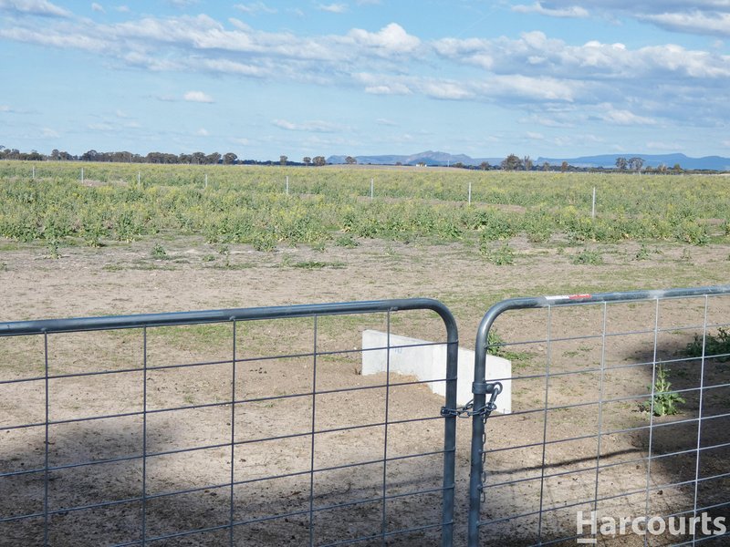 Photo - Lot 2 365 Old Hamilton Road, Haven VIC 3401 - Image 4