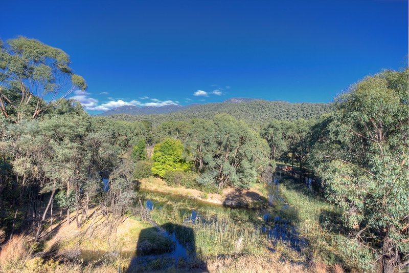 Photo - Lot 2 490 Buckland Valley Road, Bright VIC 3741 - Image 5