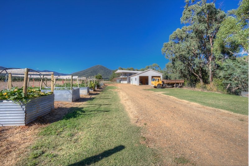 Photo - Lot 2 490 Buckland Valley Road, Bright VIC 3741 - Image 9