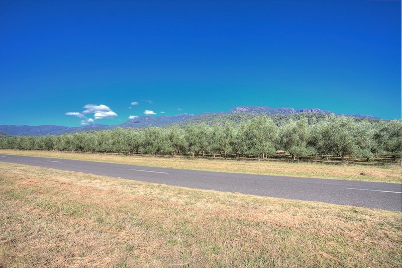 Photo - Lot 2 490 Buckland Valley Road, Bright VIC 3741 - Image 17