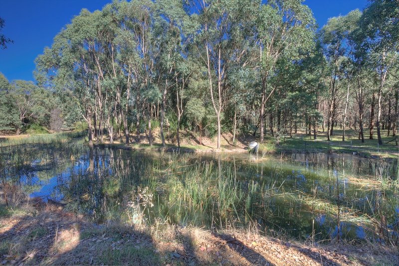 Photo - Lot 2 490 Buckland Valley Road, Bright VIC 3741 - Image 21