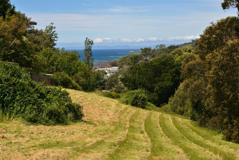 Photo - Lot 2 50 Ashwater Crescent, Penguin TAS 7316 - Image 3