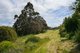 Photo - Lot 2 50 Ashwater Crescent, Penguin TAS 7316 - Image 7