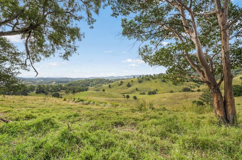 Photo - Lot 2 69 Halls Road, Cedar Creek QLD 4520 - Image 3