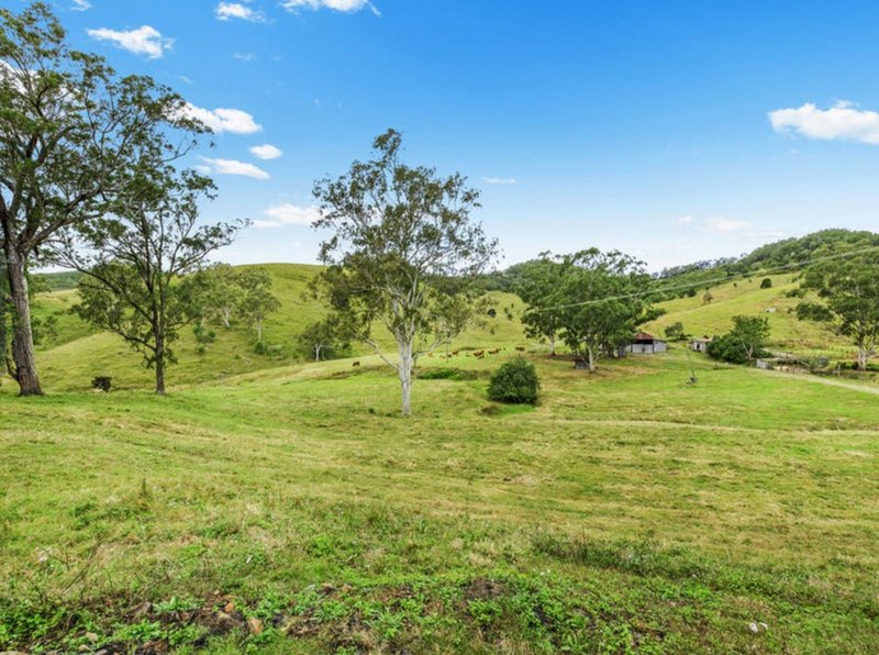 Photo - Lot 2 69 Halls Road, Cedar Creek QLD 4520 - Image 9