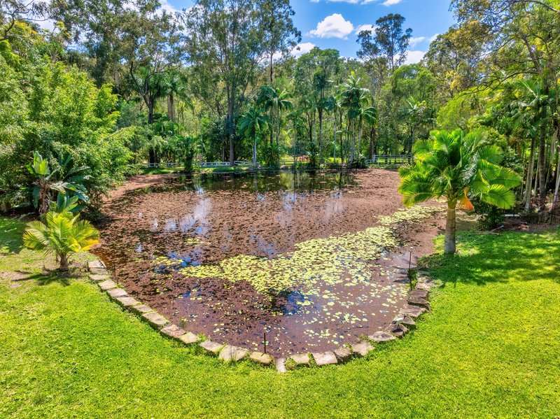 Photo - Lot 2 97-111 Country Crescent, Nerang QLD 4211 - Image 5