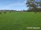 Photo - Lot 2 Almurta-Glen Forbes Road, Almurta VIC 3979 - Image 3