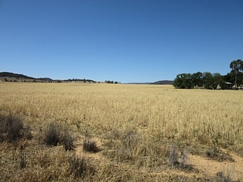 Lot 2 'Alvin' Ridge Street, Attunga NSW 2345