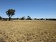 Photo - Lot 2 'Alvin' Ridge Street, Attunga NSW 2345 - Image 2