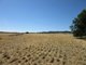 Photo - Lot 2 'Alvin' Ridge Street, Attunga NSW 2345 - Image 3