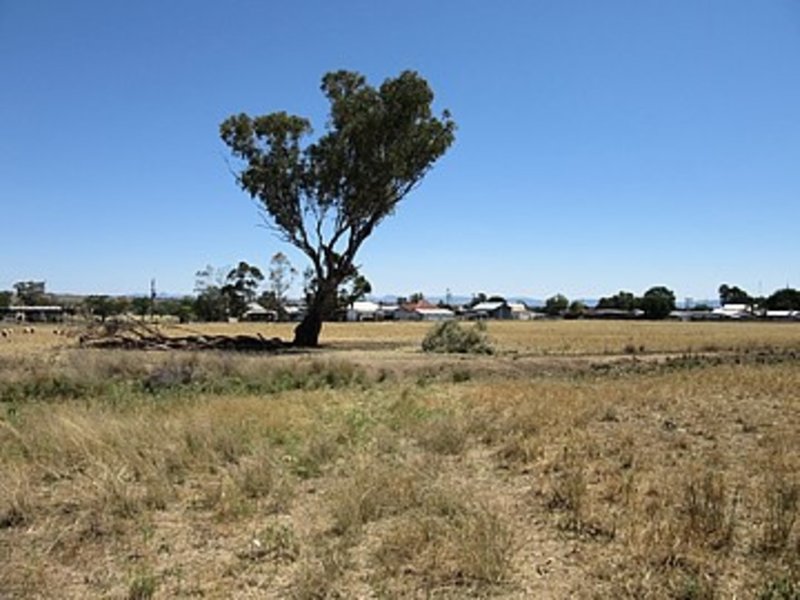 Photo - Lot 2 'Alvin' Ridge Street, Attunga NSW 2345 - Image 4