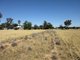 Photo - Lot 2 'Alvin' Ridge Street, Attunga NSW 2345 - Image 6