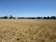 Photo - Lot 2 'Alvin' Ridge Street, Attunga NSW 2345 - Image 7