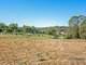 Photo - Lot 2 and 3/154 Tarleton Road, Tarleton TAS 7310 - Image 6