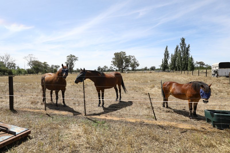 Lot 2 Benalla-Tocumwal Road, Muckatah VIC 3644