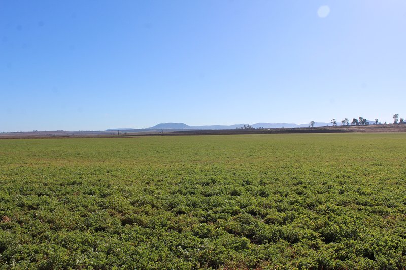 Photo - Lot 2 Box Road, Wiyarra QLD 4370 - Image 2