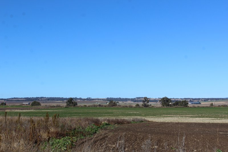 Photo - Lot 2 Box Road, Wiyarra QLD 4370 - Image 5