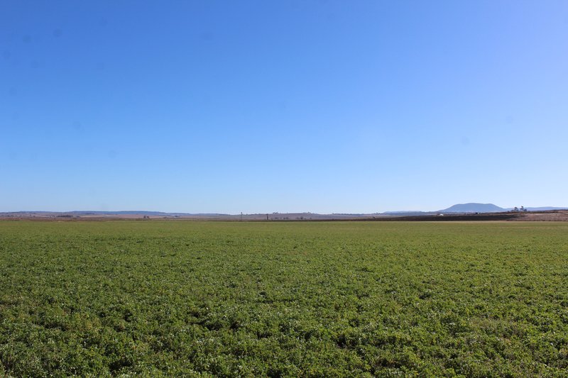 Photo - Lot 2 Box Road, Wiyarra QLD 4370 - Image 10