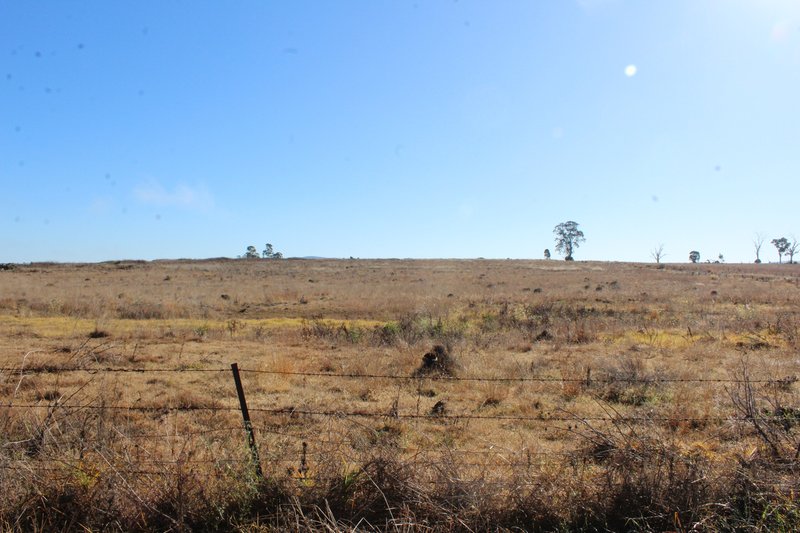 Photo - Lot 2 Box Road, Wiyarra QLD 4370 - Image 12