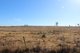 Photo - Lot 2 Box Road, Wiyarra QLD 4370 - Image 12