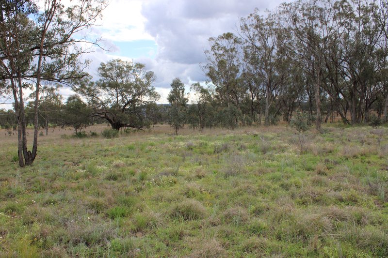 Photo - Lot 2 Burtenshaws Road, Inverell NSW 2360 - Image 8