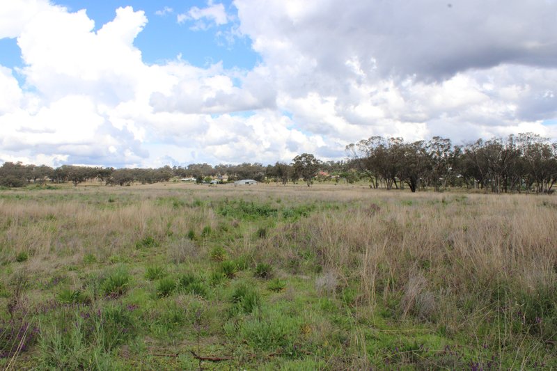 Photo - Lot 2 Burtenshaws Road, Inverell NSW 2360 - Image 11