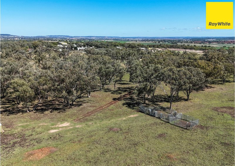 Photo - Lot 2 Burtenshaws Road, Inverell NSW 2360 - Image 18