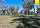 Photo - Lot 2 Burtenshaws Road, Inverell NSW 2360 - Image 19