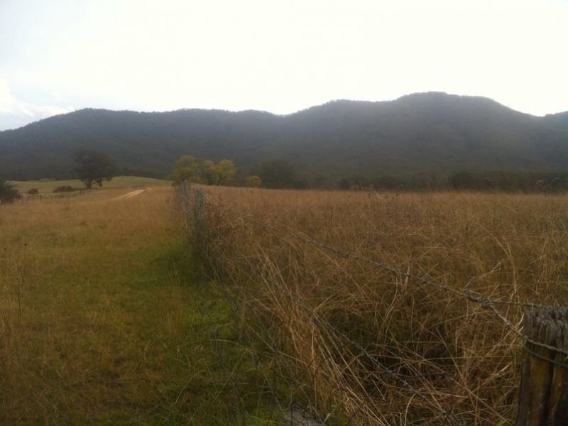 Photo - Lot 2 Catholic Cemetery Road, Araluen NSW 2622 - Image 3