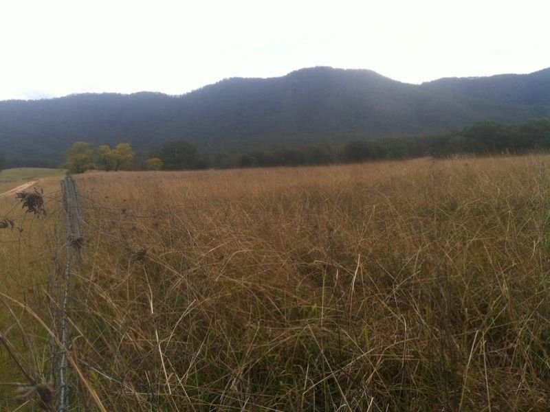 Photo - Lot 2 Catholic Cemetery Road, Araluen NSW 2622 - Image 4