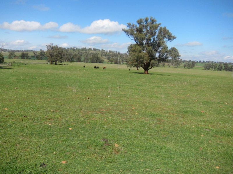 Lot 2 Davidsons Lane, Tamworth NSW 2340