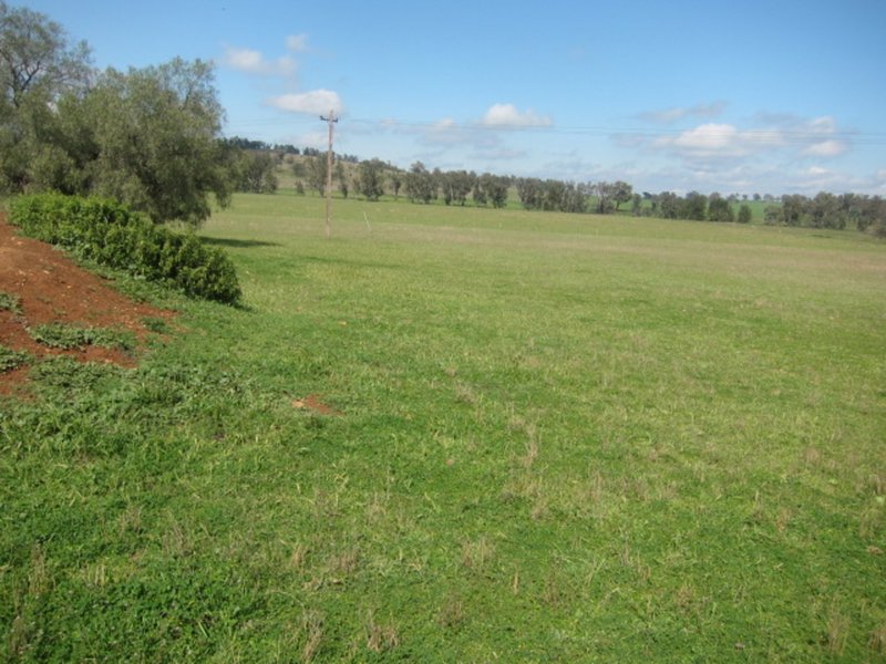 Photo - Lot 2 Davidsons Lane, Tamworth NSW 2340 - Image 7