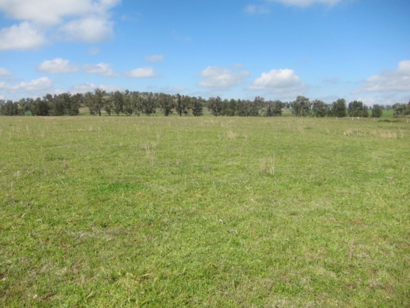 Photo - Lot 2 Davidsons Lane, Tamworth NSW 2340 - Image 9