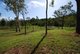 Photo - Lot 2 Domenica Road, Sugarloaf QLD 4800 - Image 3