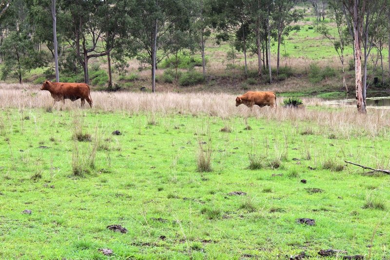 Photo - Lot 2 Esk Crows Nest Road, Biarra QLD 4313 - Image 3