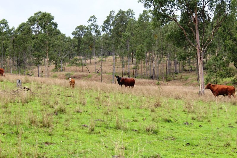 Photo - Lot 2 Esk Crows Nest Road, Biarra QLD 4313 - Image 9